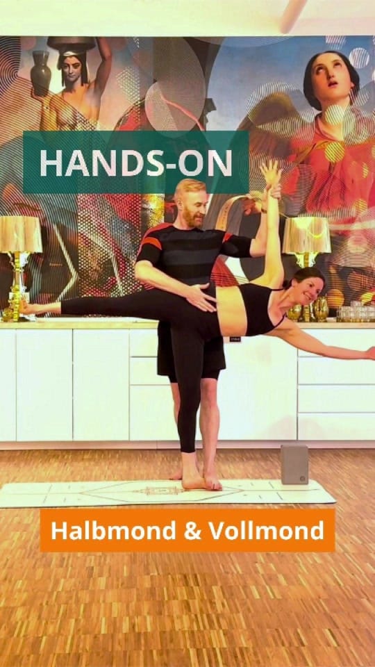 Post 10 by yogafürdich on TikTok (video)