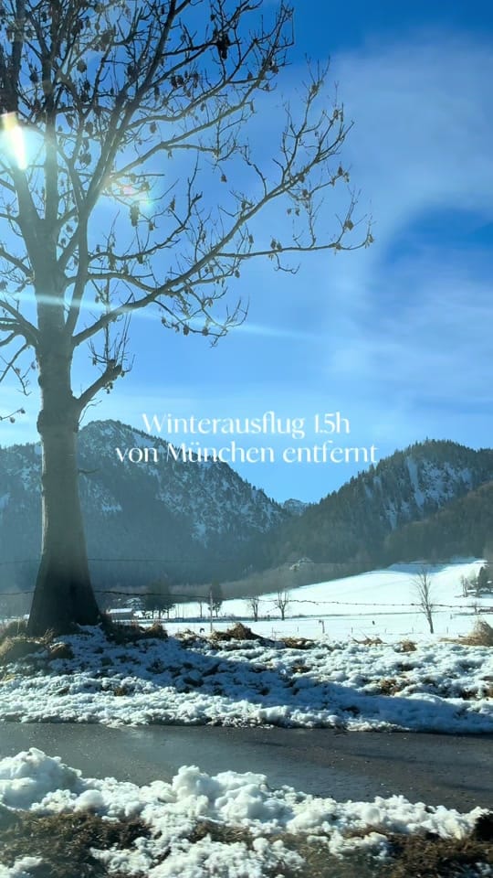 Post 5 by johanna on TikTok (video)