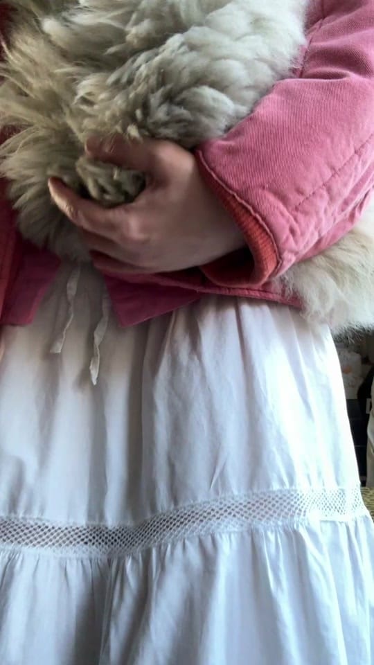 Post 10 by Bridie Husband on TikTok (video)