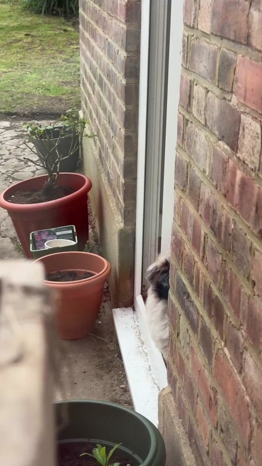 Post 7 by Bridie Husband on TikTok (video)
