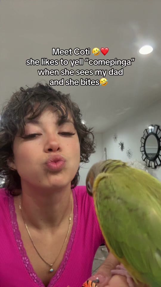 Post 1 by Zuley.baby on TikTok (video)