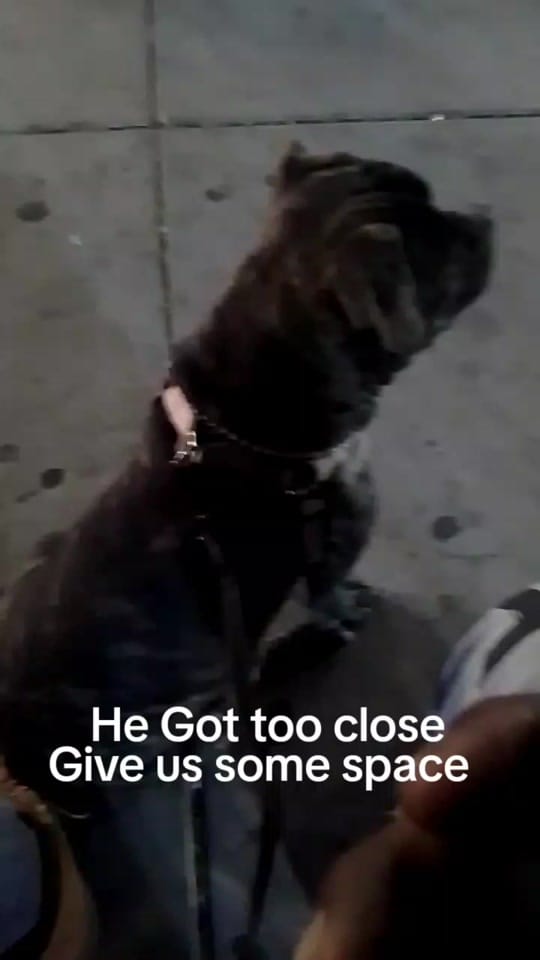 Post 4 by The Hustle Collection on TikTok (video)