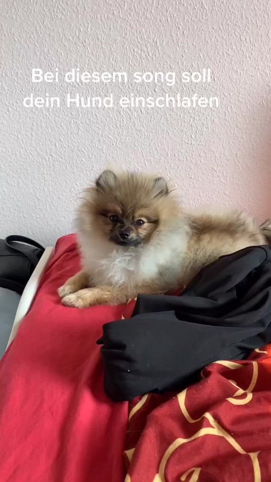 Post 10 by celinaa.000 on TikTok (video)