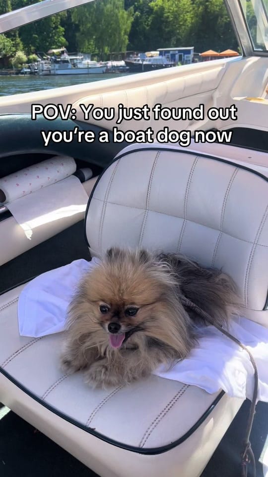 Post 1 by celinaa.000 on TikTok (video)