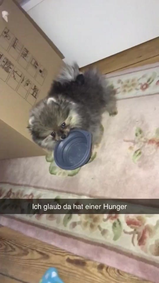 Post 9 by celinaa.000 on TikTok (video)
