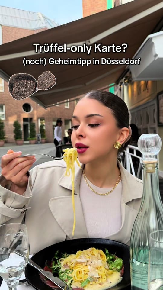 Post 4 by susanswelt on TikTok (video)