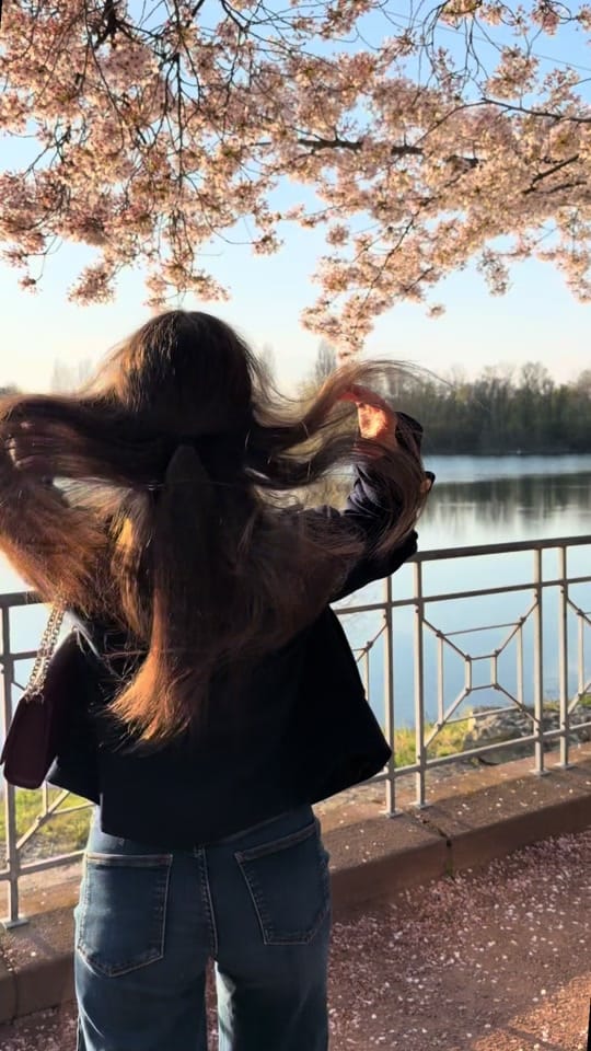 Post 3 by susanswelt on TikTok (video)