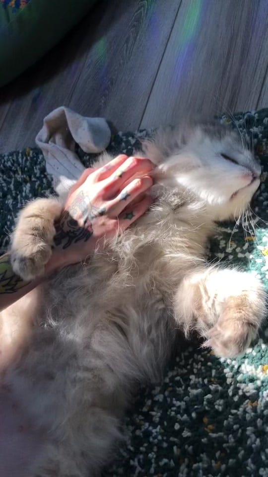 Post 9 by Em on TikTok (video)