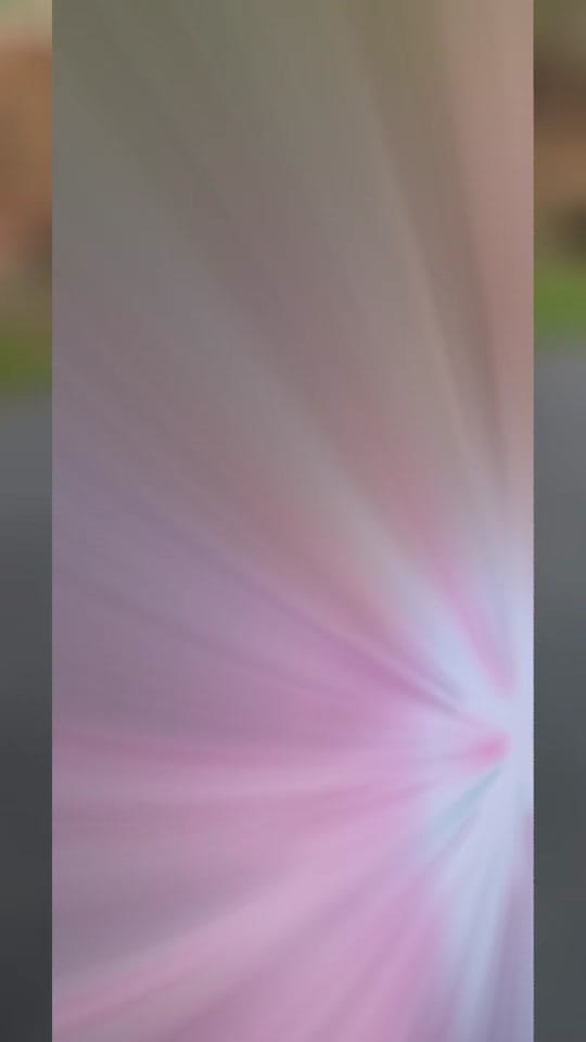 Post 4 by Julie Collins on TikTok (video)