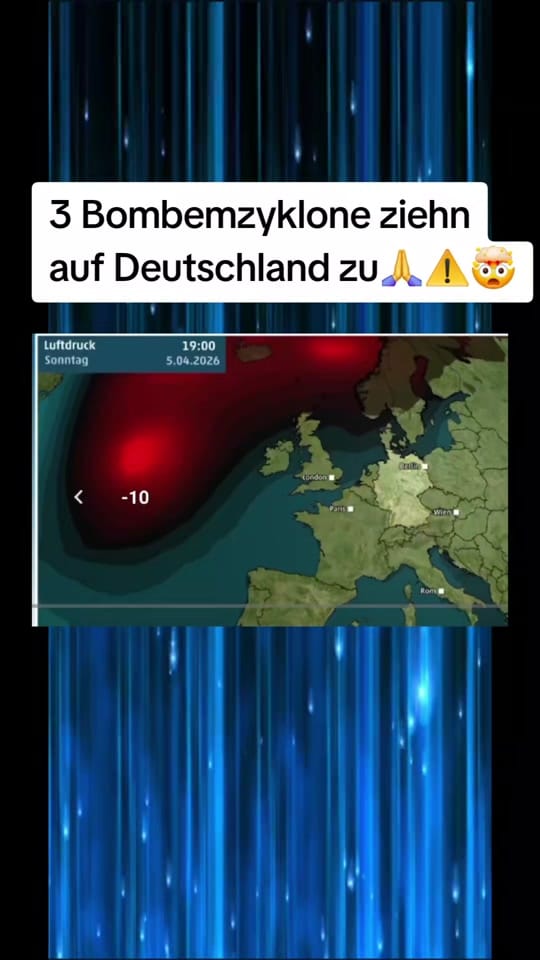 Post 5 by René🏋‍♂️ on TikTok (video)
