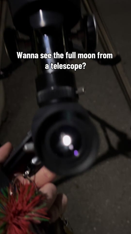 Post 6 by Cauliflower power on TikTok (video)
