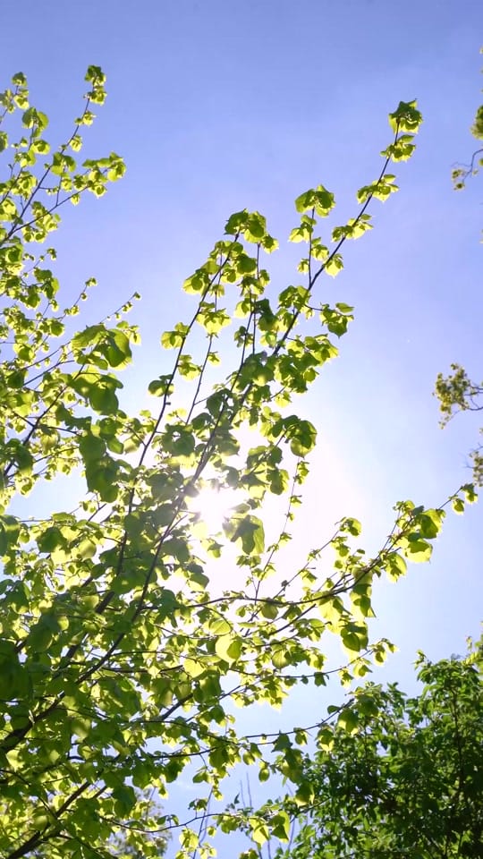 Post 1 by Cabau Lifestyle on TikTok (video)