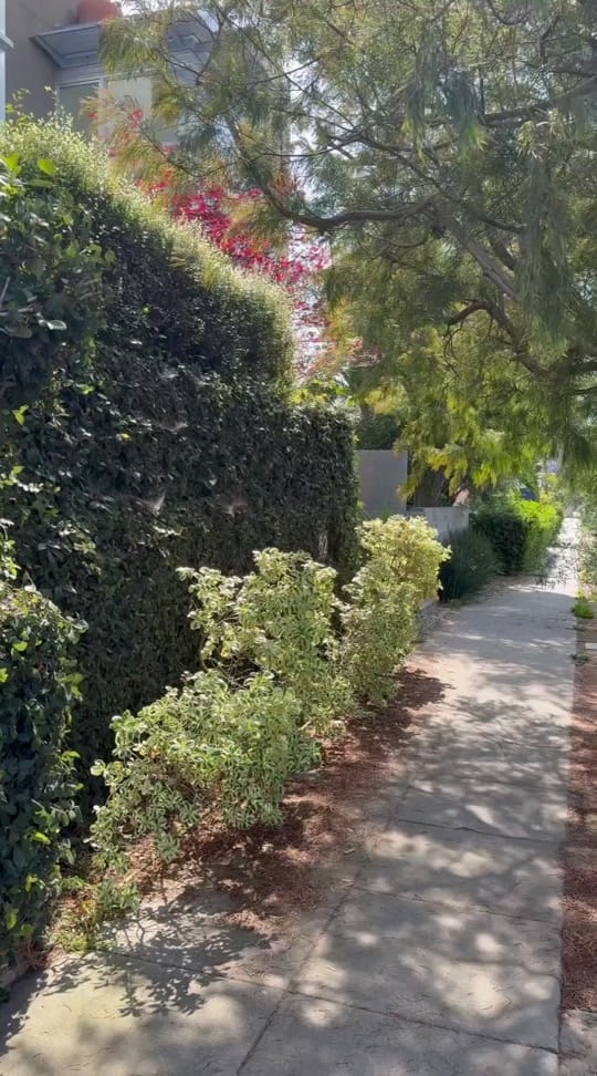 Post 6 by Cabau Lifestyle on TikTok (video)