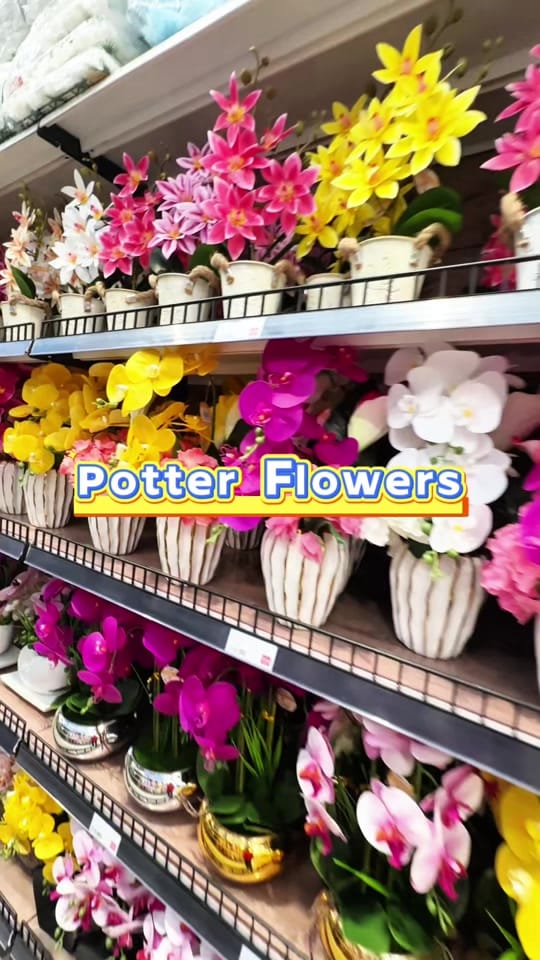 Post 3 by PDmart（Christchurch） on TikTok (video)