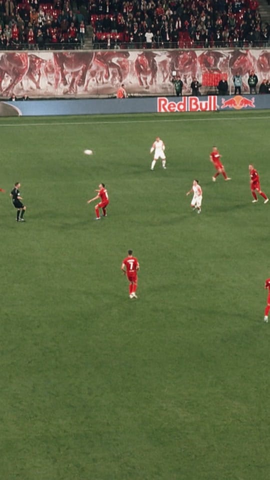 Post 4 by Christoph Baumgartner on TikTok (video)