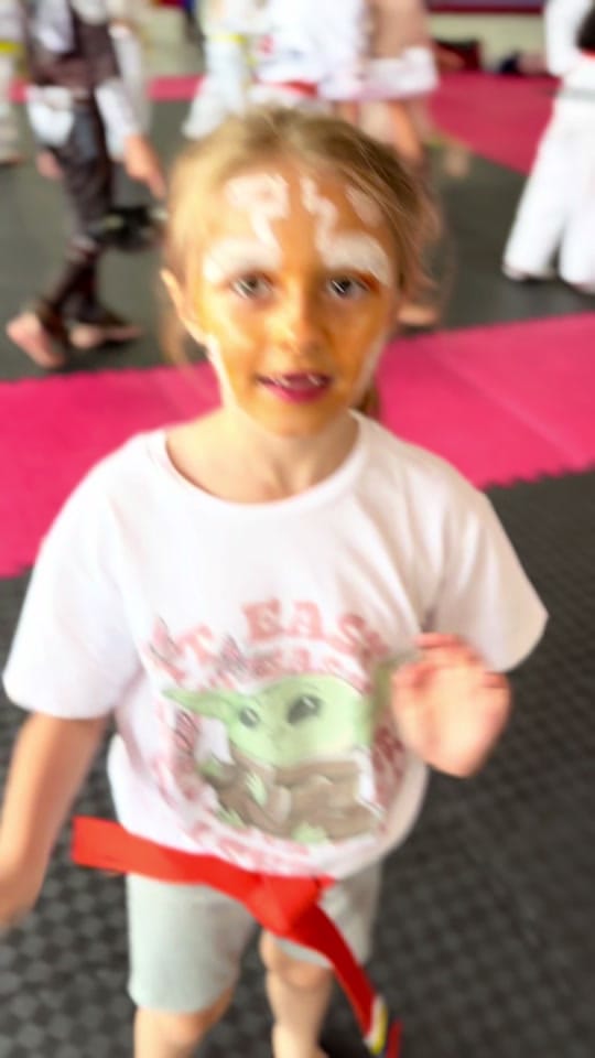 Post 8 by seosmartialarts on TikTok (video)