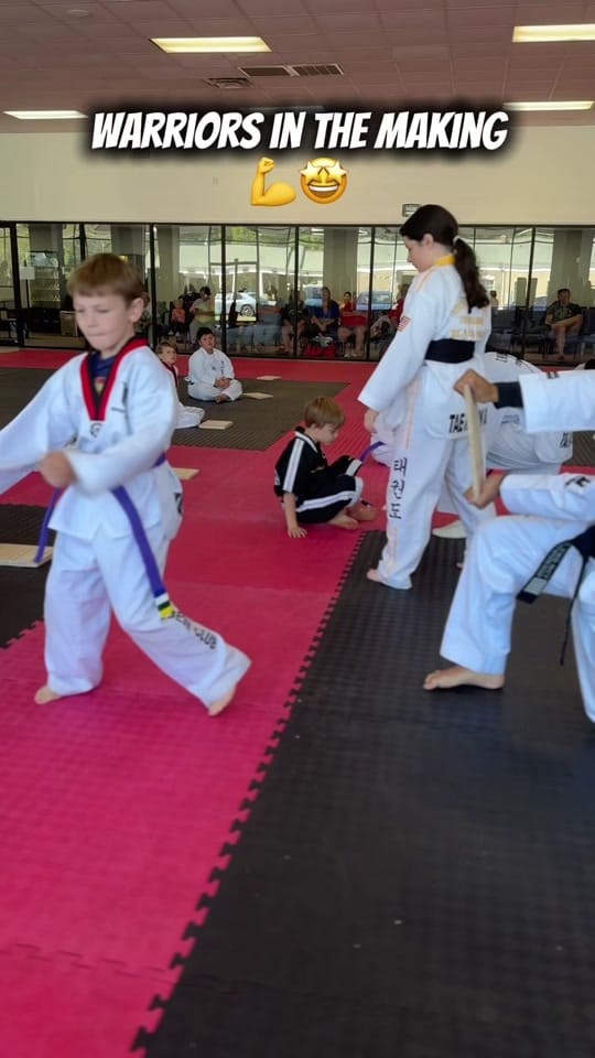 Post 1 by seosmartialarts on TikTok (video)