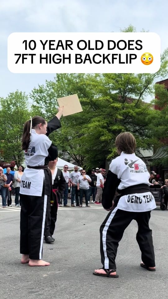 Post 9 by seosmartialarts on TikTok (video)