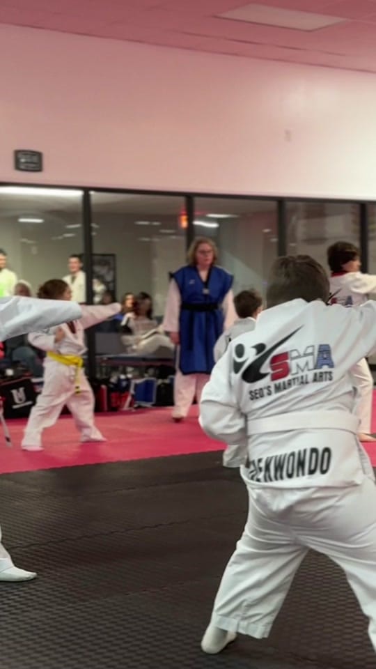 Post 3 by seosmartialarts on TikTok (video)