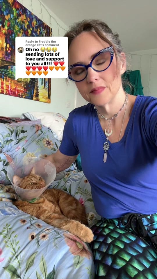 Post 3 by Charlotte 🇨🇦🇬🇧 on TikTok (video)
