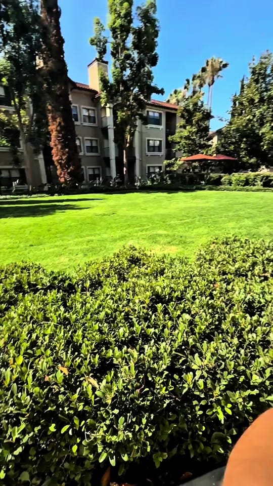 Post 1 by Lex🧶 on TikTok (video)