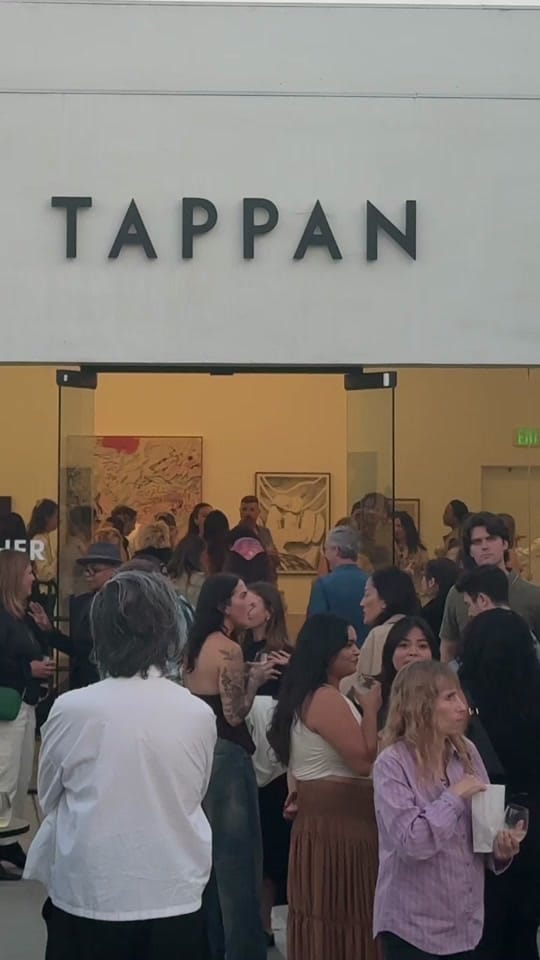 Post 1 by Tappan Collective on TikTok (video)