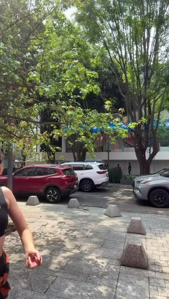 Post 1 by Val Dessens on TikTok (video)