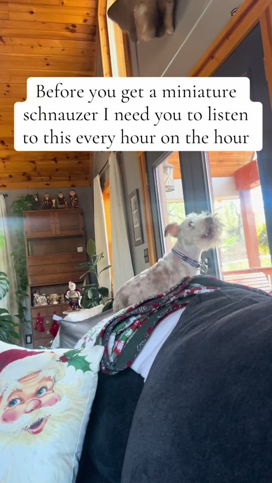 Post 4 by Jess James💙 on TikTok (video)