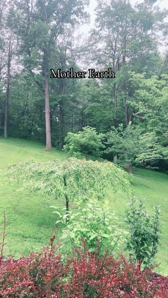 Post 7 by Jess James💙 on TikTok (video)