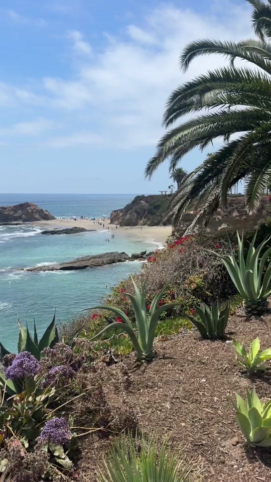 Post 3 by Birdie🐚🎨 on TikTok (video)