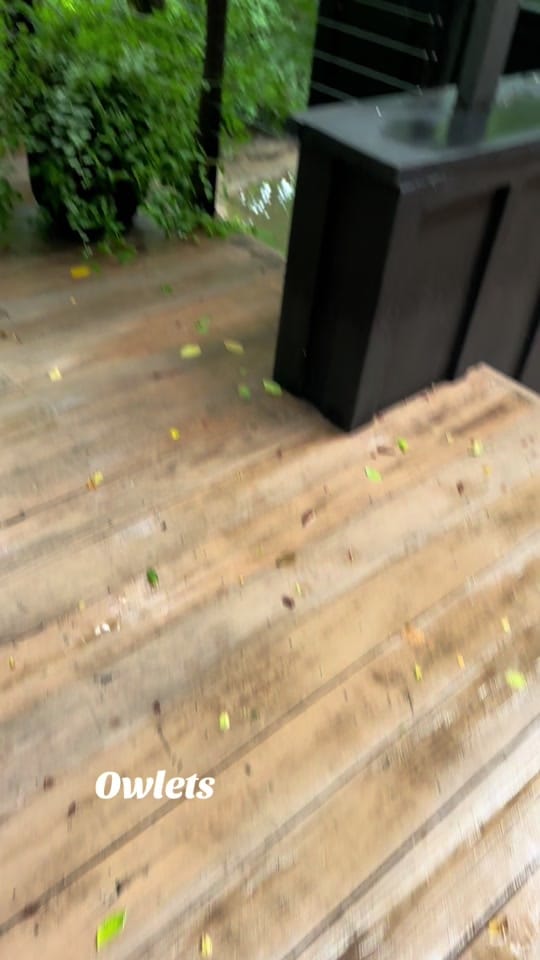 Post 1 by Angela Womack Taveekanjana on TikTok (video)