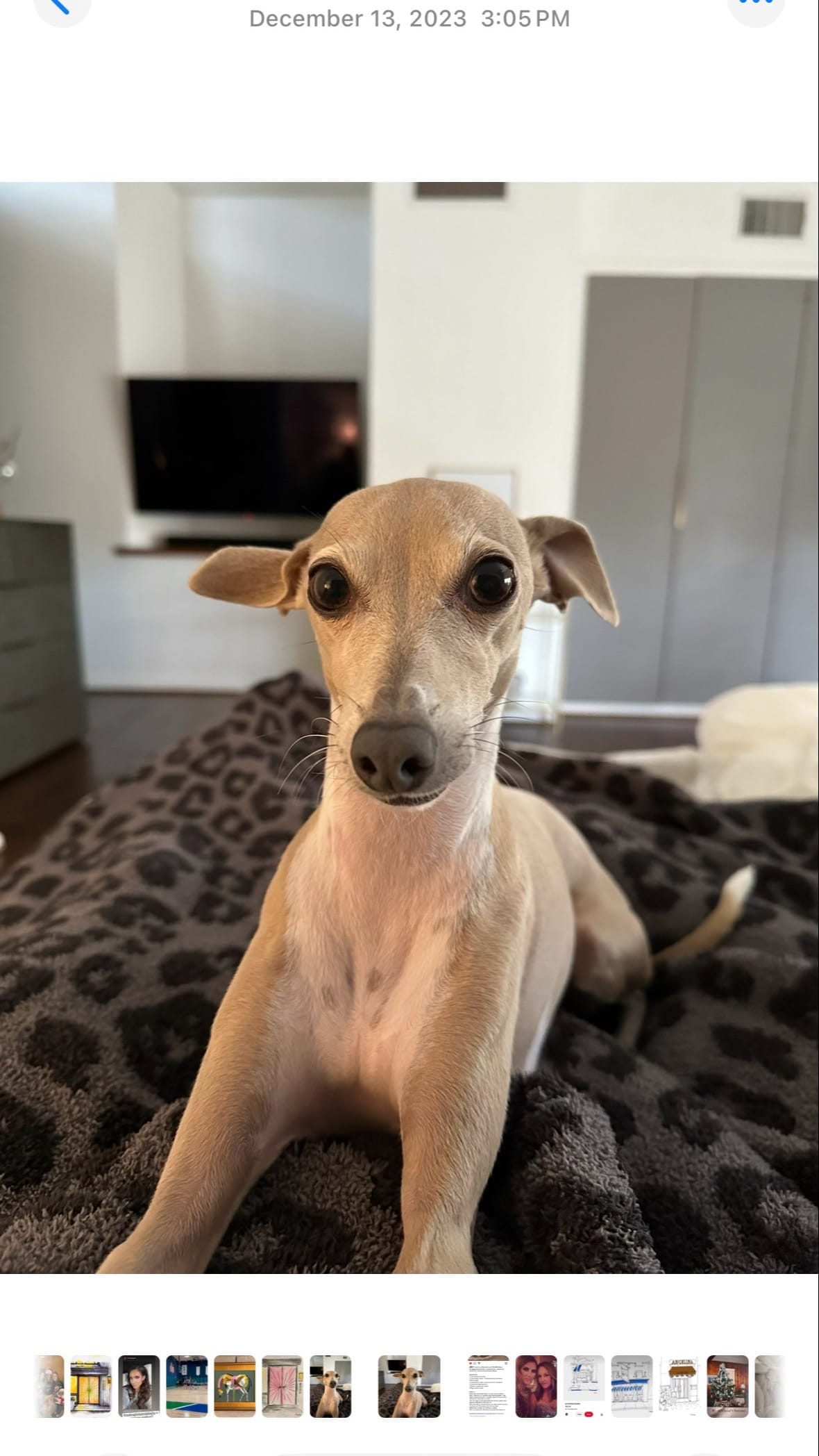 Post 4 by Angela Womack Taveekanjana on TikTok (video)
