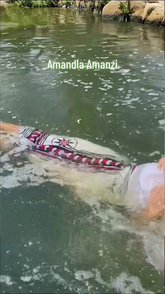 Post 9 by GogoMalwandle_ on TikTok (video)