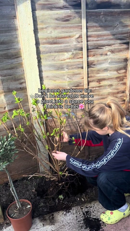 Post 4 by onplanetgeorgia on TikTok (video)