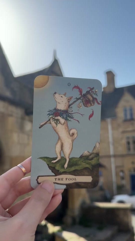 Post 1 by Jessica Roux on TikTok (video)