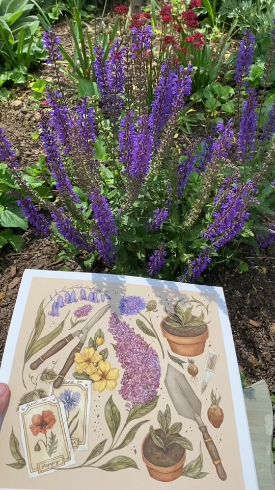 Post 9 by Jessica Roux on TikTok (video)