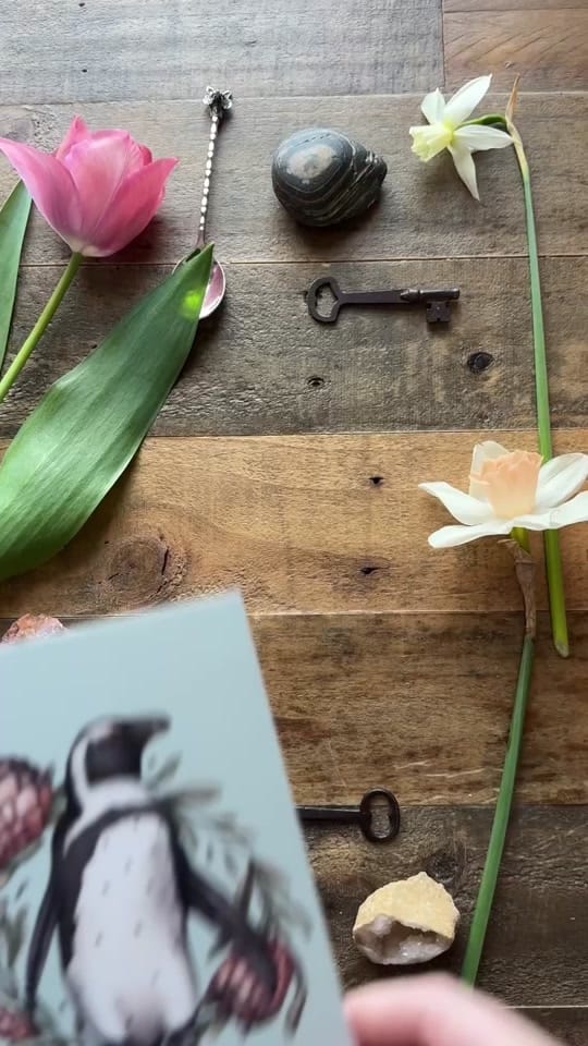Post 6 by Jessica Roux on TikTok (video)