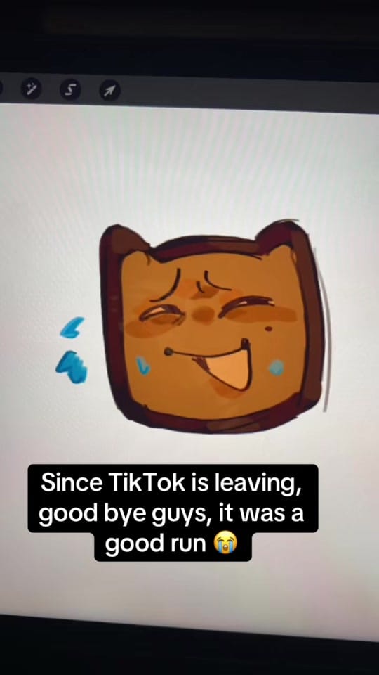 Post 3 by 🍞Toasttea🍞 on TikTok (video)