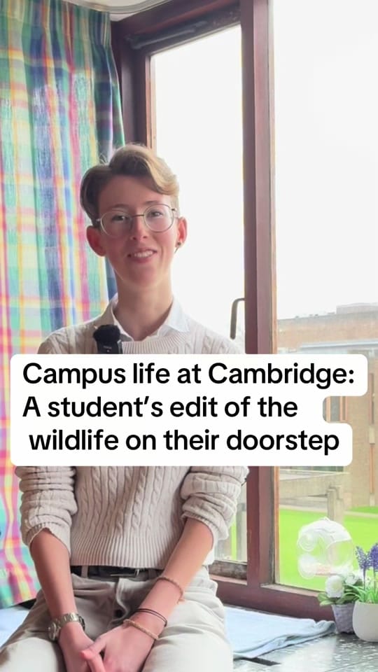 Post 4 by Churchill College Cambridge on TikTok (video)