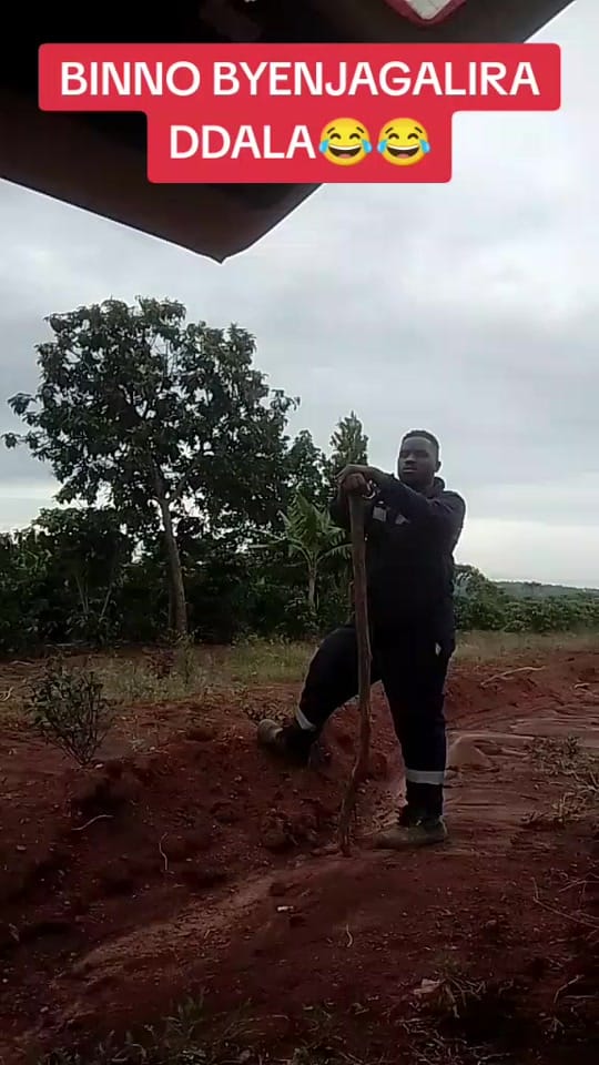 Post 3 by SO FAR SO GOOD on TikTok (video)