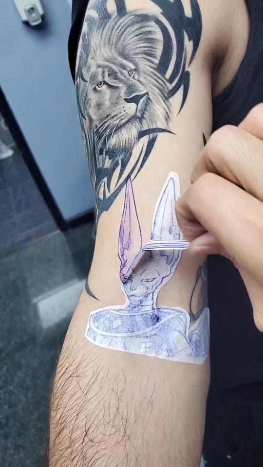Post 10 by estrada on TikTok (video)