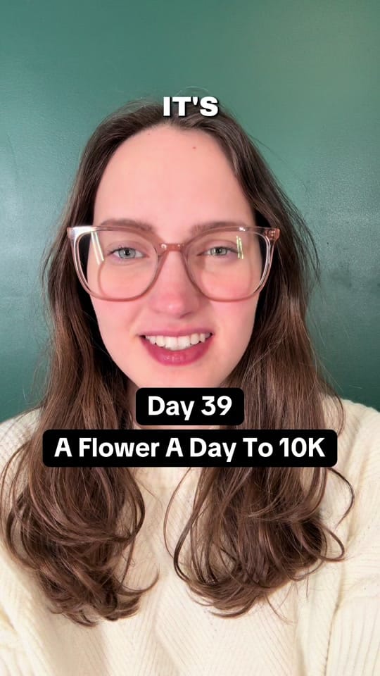 Post 8 by Esther The Flower Farmer on TikTok (video)