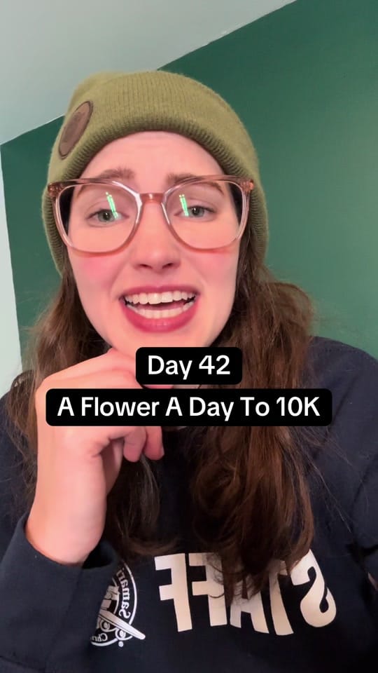 Post 5 by Esther The Flower Farmer on TikTok (video)