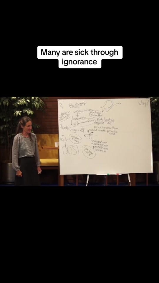 Post 9 by AMB on TikTok (video)