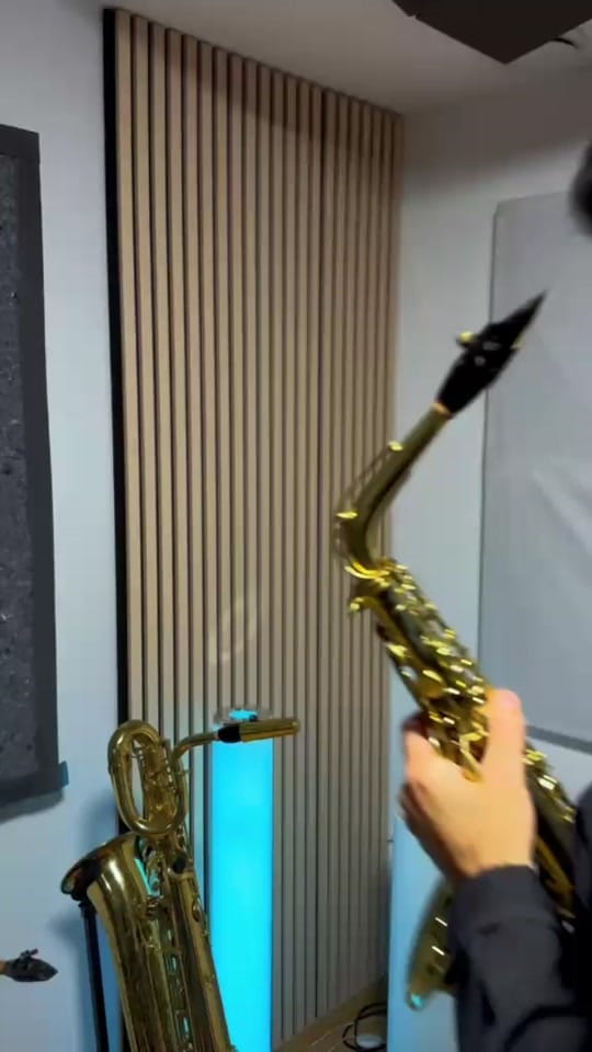 Post 1 by Manu Brazo on TikTok (video)