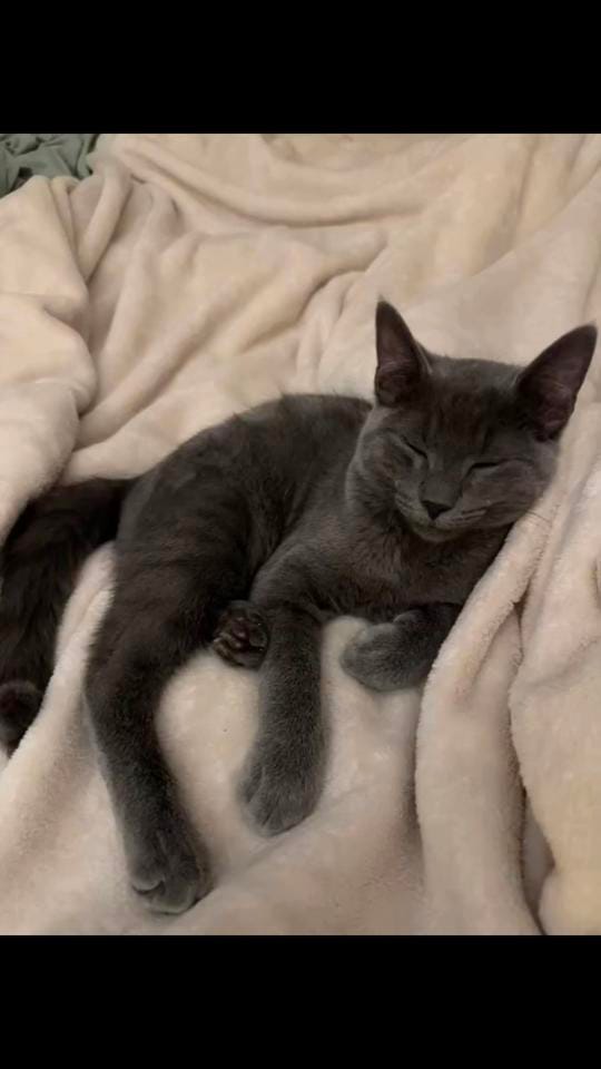 Post 2 by audreannaontiveros on TikTok (video)