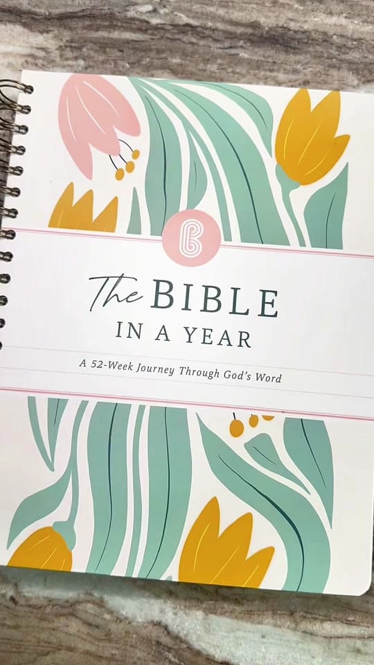 Post 8 by lynnae.barnhart on TikTok (video)
