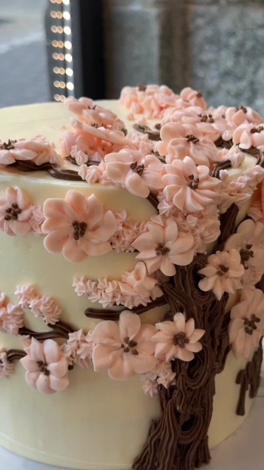 Post 6 by Edwin Garpa Chef on TikTok (video)