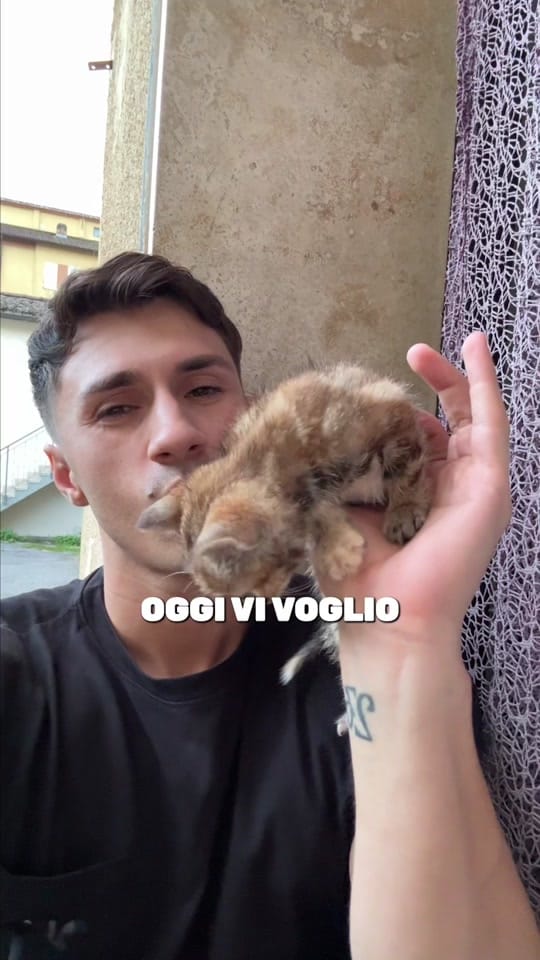 Post 10 by Mirko brunetti on TikTok (video)