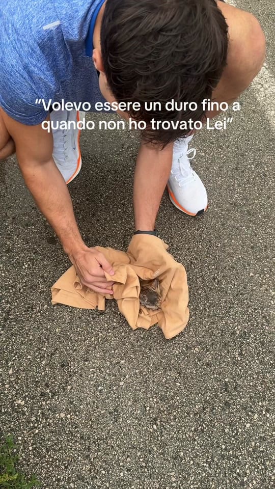 Post 5 by Mirko brunetti on TikTok (video)